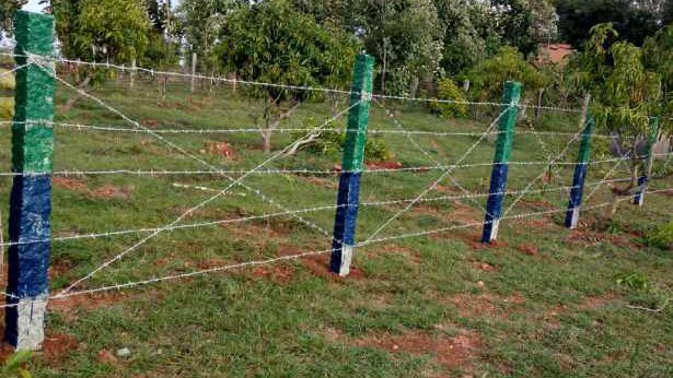 Wire Fencing | Tar Fencing Near Me in Ahmedabad
