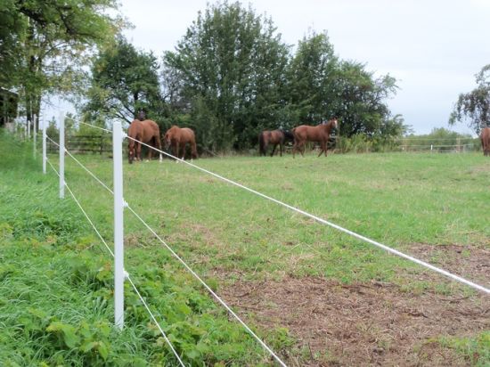 Concertina Wire Fence