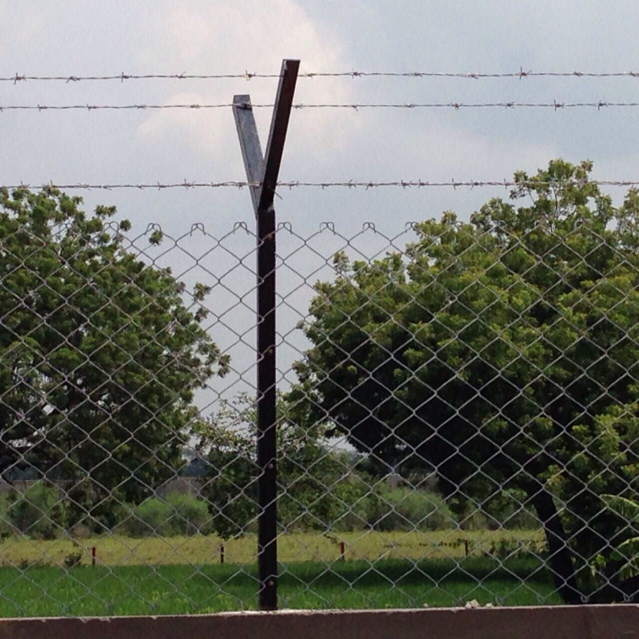 Barbed Wire Fencing in Ahmedabad | Manish Fencing